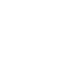 Anmol Healthcare (AHC)